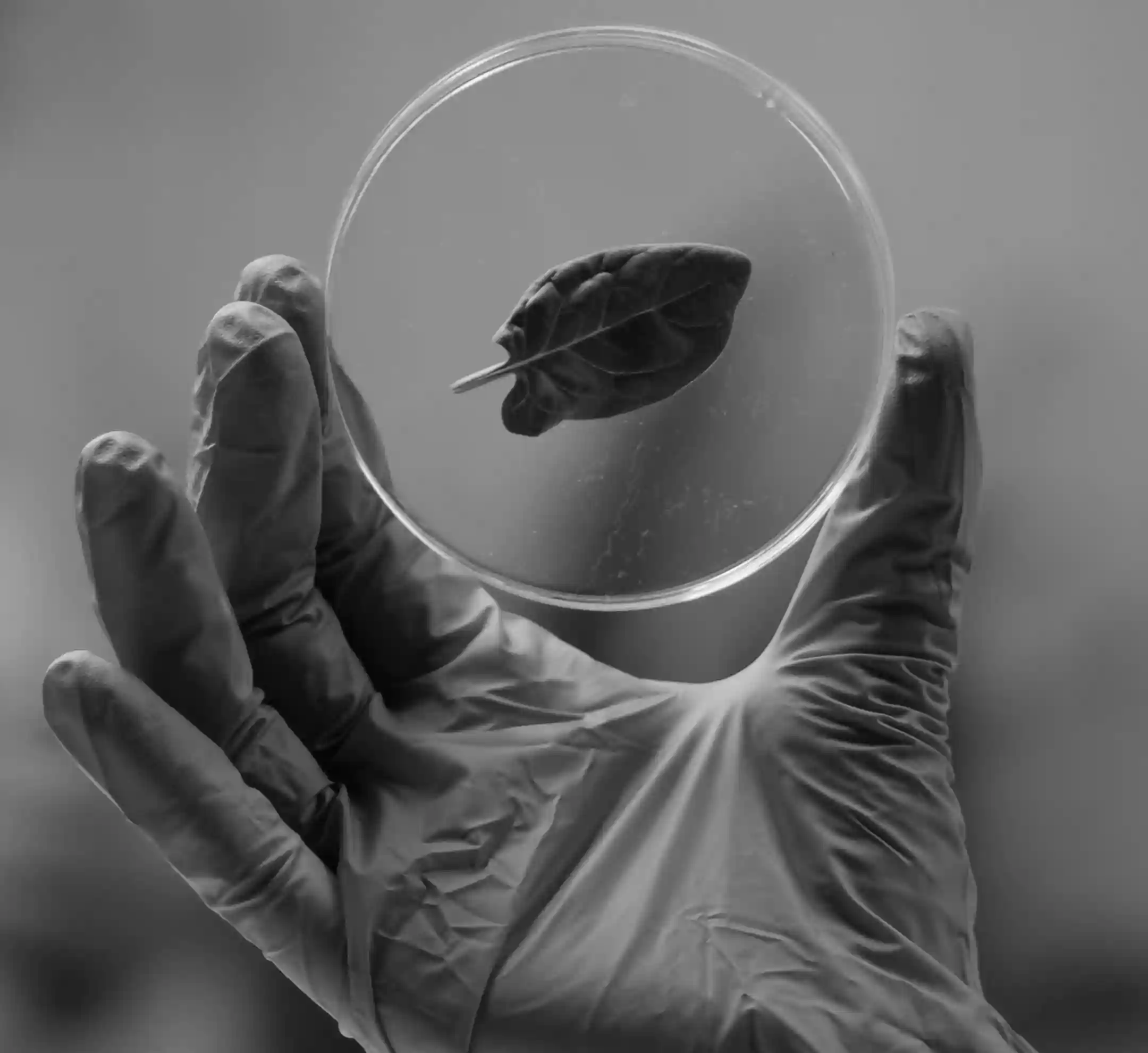 sciences-de-environnement