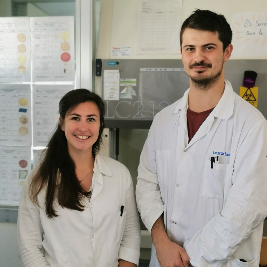 ingénieurs laboratoire microbiologie Dinan